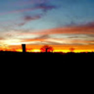 Meet your Posher, Clint